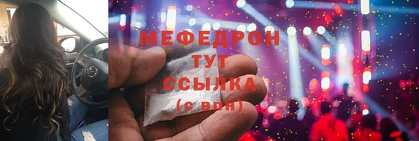 индика Вяземский