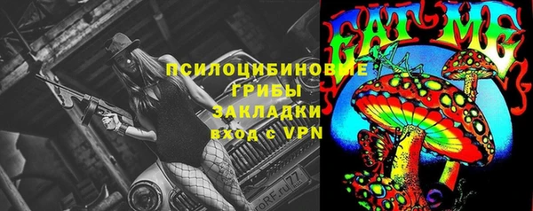 дмт Осинники