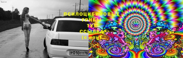гидропоника Осташков
