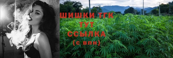 дмт Осинники