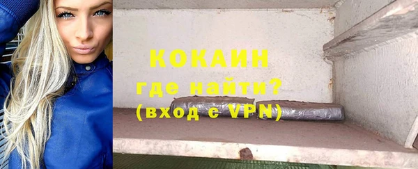 дмт Осинники
