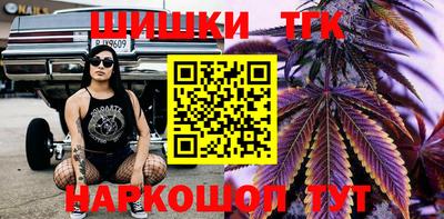 СК Гай