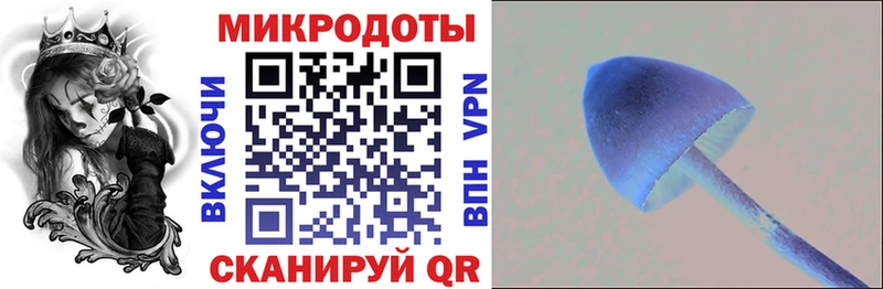 купить   Амурск  Псилоцибиновые грибы мухоморы 