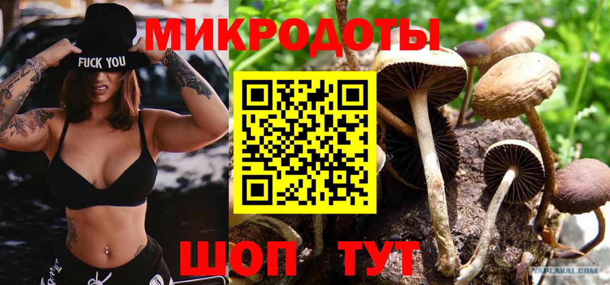 Псилоцибиновые грибы Psilocybe  Вход с VPN  Псилоцибиновые грибы Cubensis  Амурск 
