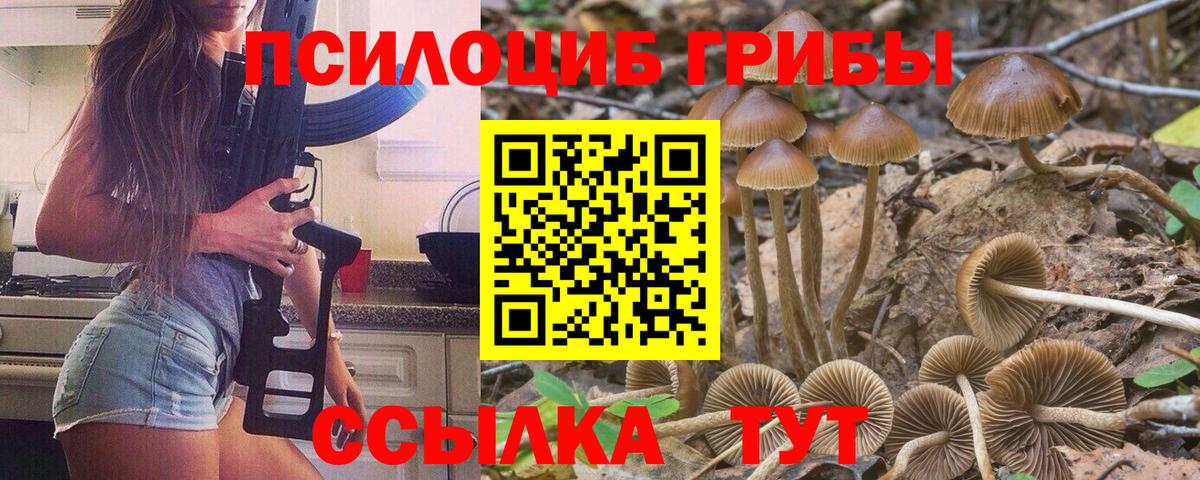Амурск  Галлюциногенные грибы Magic Shrooms  Галлюциногенные грибы Magic Shrooms  Вход с VPN 