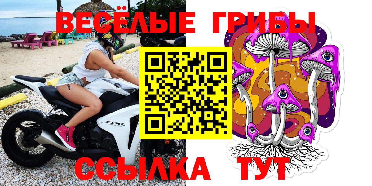 Псилоцибиновые грибы мицелий  Амурск 