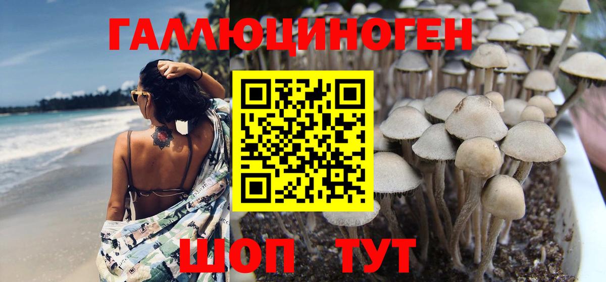 Амурск  МДМА  Меф   NBOMe  Лсд 25  Конопля  Каннабис  ГАШИШ  Меф   COCAIN  Амфетамин  