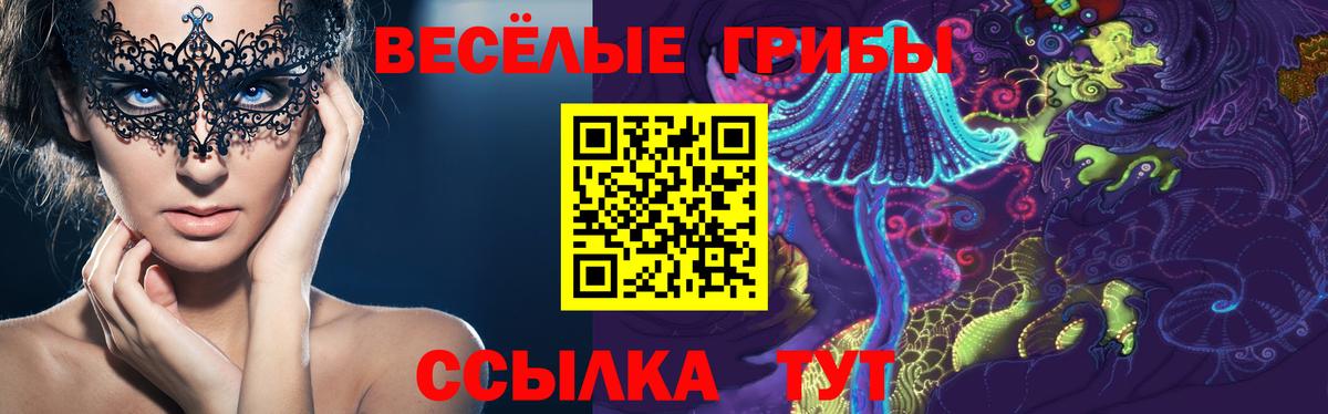 Псилоцибиновые грибы GOLDEN TEACHER Амурск